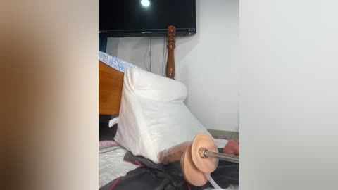 Media: A video of a bedroom with a large, flat-screen TV mounted on a wooden post. A white pillow with a wooden dildo protruding from it is placed on the floor, surrounded by black and white bedding.