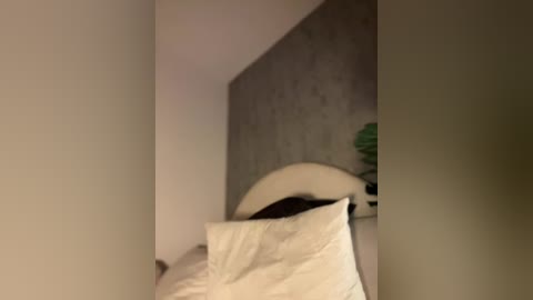 Media: Video of a beige wall with a white pillow and a green object, possibly a toy, on a bed. The image is slightly blurry, giving it a dreamy, muted appearance.