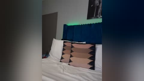 Media: Video of a modern bedroom with a white bed, a blue headboard, and two decorative pillows with Native American-inspired patterns. A black-and-white framed photo hangs on the wall, and the room has a soft greenish glow.