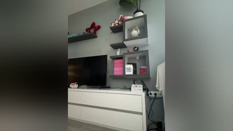 Media: Video of a modern, minimalist living room with a grey wall, a flat-screen TV mounted on a white console, a grey floating shelf with decorative items, and a green potted plant.