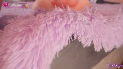 Media: A close-up video of a person's hand gently stroking a soft, fluffy, light purple faux fur blanket, with a blurred background.