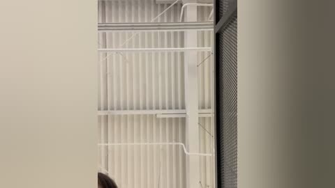 Media: Video of a minimalist, modern interior featuring a white metal staircase with vertical corrugated panels, leading to a beige wall. A person with shoulder-length brown hair is partially visible at the bottom left.