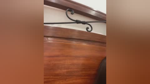 Media: Video of a wooden staircase with a glossy finish, showcasing a black wrought-iron handrail. The steps and banister display a rich, dark brown color, with a smooth texture. The background is a plain, light-colored wall.