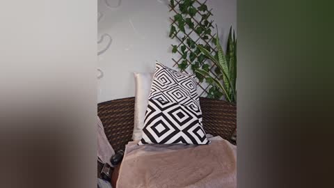 Media: Video of a wicker chair with a beige throw blanket, featuring a black and white geometric-patterned pillow. Background includes a green potted plant and a white wall with a decorative pattern.