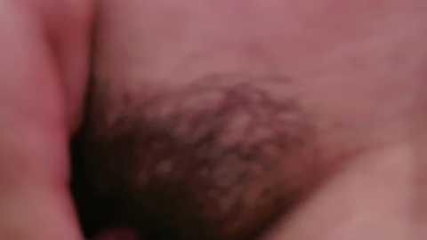 Media: Video of a close-up view of a person's pubic region with a dense, dark patch of curly hair. The skin tone is light, and the image is blurry.