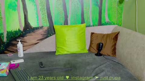 Media: Video of a cozy room with a green forest mural, gray sectional sofa, bright yellow and brown throw pillows, a bottle of hand sanitizer, and a black webcam on a gray blanket.