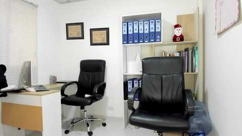 Media: Video of a modern office with a white wall, two black leather chairs, a wooden desk, computer, and bookshelves filled with blue binders and a red elf doll.