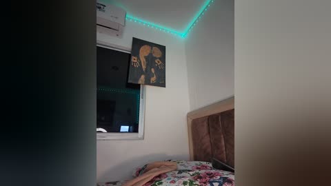 Media: Video of a dimly lit bedroom with a bed covered in floral bedding, a wooden headboard, and a wall-mounted air conditioner. Two black and white framed art pieces hang above the bed, and green LED strip lighting adorns the ceiling.