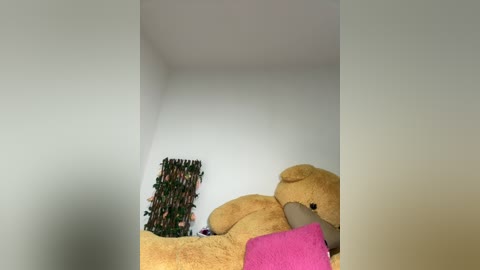 Media: Video of a corner in a room with a plush teddy bear, a pink pillow, and a decorative green wall hanging, all against a plain white wall.