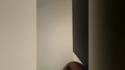 Media: Video of a woman's head and shoulder partially visible, with a flat-screen television mounted on a beige wall in the background. The lighting is dim, creating a moody atmosphere.