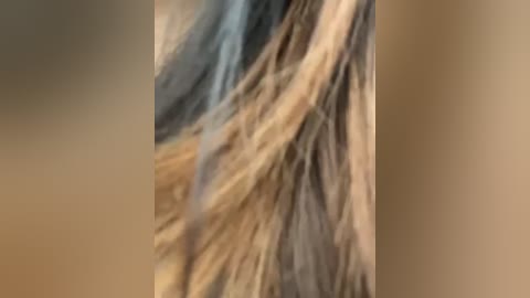 Media: A close-up video of a person's head with long, flowing hair, featuring natural colors of brown, blonde, and hints of grey, blending seamlessly. The background is blurred, focusing attention on the hair texture.