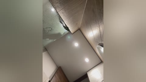 Media: Video of a modern bathroom ceiling with four recessed lights, wooden beams, and a frosted glass panel, creating a warm and cozy ambiance.