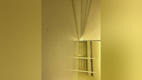 Media: Video of a minimalist, empty room with yellow walls, featuring a vertical metal ladder leaning against the wall, slightly angled towards the right. The room has a clean, uncluttered appearance with a sparse, utilitarian aesthetic.