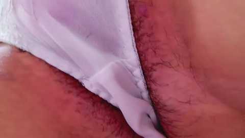 Media: Close-up video of a woman's pubic region, featuring white underwear and visible pubic hair. The image focuses on the intimate area, highlighting the texture of the skin and hair.