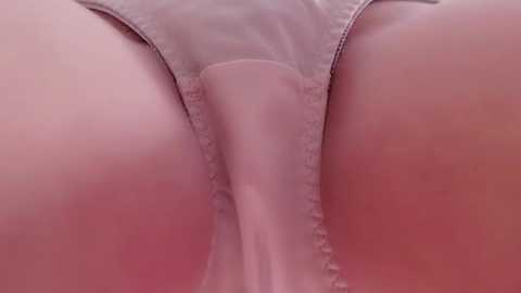 Media: Close-up video of a woman's pale, smooth skin and light pink underwear, emphasizing the curves and texture of her thighs and buttocks.