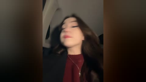 Media: A blurry video of a young woman with long, dark hair, wearing a maroon sweater and necklace, captured from an unclear angle.