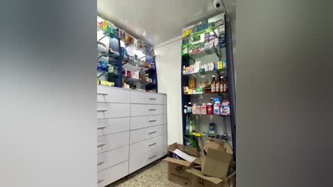 Media: Video of a cluttered, white-walled room with a refrigerator and cabinets filled with various groceries, including boxes, jars, and bottles. A cardboard box and scattered papers are on the floor.