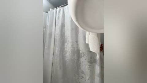 Media: A video of a white bathroom with a shower curtain partially drawn, revealing a textured, floral pattern. A white towel is hanging on a hook, and the ceiling is painted light gray.