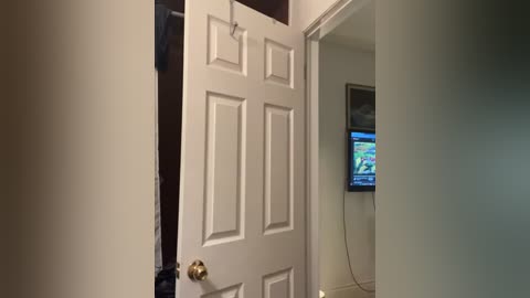 Media: Video of a partially open white door with a brass doorknob. Adjacent room features a flat-screen TV displaying a colorful game scene.