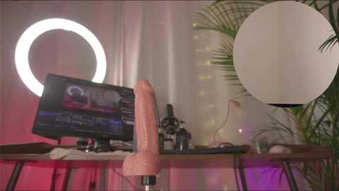 Media: Video of a modern, pink-lit room featuring a large, realistic-looking dildo on a desk, with a computer screen displaying a webcam feed and a microphone, alongside a large white reflector.