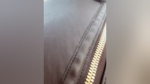 Media: A close-up video of a black leather jacket's zipper, with the metallic pull tab featuring a golden tone and a slightly blurred background. The texture of the leather is smooth, and the stitching is visible.