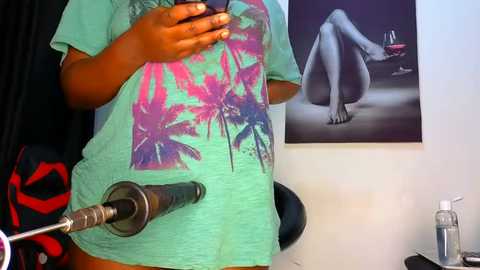 Media: Video of a person wearing a green t-shirt with a pink floral pattern, holding a camera, in a room with a black chair, red backpack, and a wine glass painting on the wall.