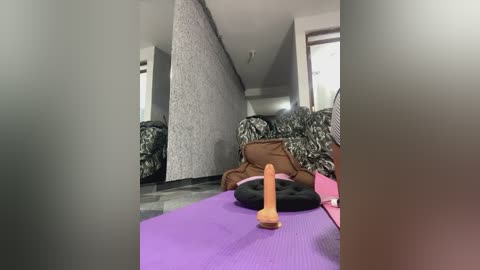 Media: Video of a living room with a large, patterned brown couch, a purple yoga mat, and a realistic, erect pink dildo on it.