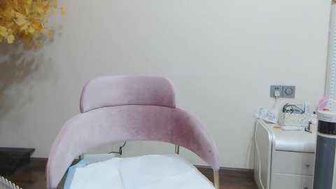 Media: Video of a minimalist, beige-walled spa room featuring a plush, pastel pink chaise lounge with curved backrest, white massage table, and a small white cabinet with medical equipment on a wooden floor.