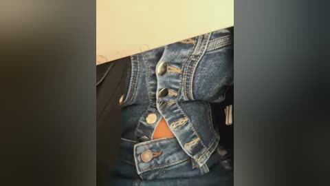 Media: A close-up video of a person's denim jacket, with the zipper partially unzipped, revealing an orange lining. The jacket's texture is rough, and the fabric appears well-worn, with visible stitching and buttons. The background is blurred and neutral-colored.