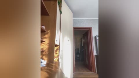 Media: A video of a narrow hallway with wooden cabinets on the left, a closed door, and sunlight streaming through the right window, casting shadows on the walls.