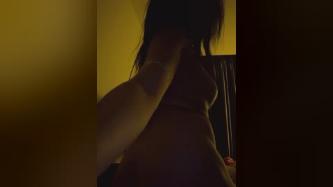 Media: A video of a nude woman with long dark hair, her back to the camera, captured in a dimly lit room. Her skin is smooth and slightly tanned, and her left arm is extended.