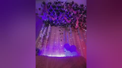 Media: Video of a colorful indoor wedding setup with a white curtain backdrop, hanging flower garlands, and purple and blue lighting, creating a festive, romantic atmosphere.