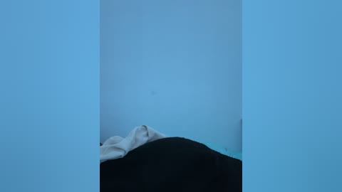 Media: Video of a minimalist scene featuring a white blanket draped over a black cushion on a light blue wall. The image exudes a serene, monochromatic atmosphere with soft textures and subtle shadows.