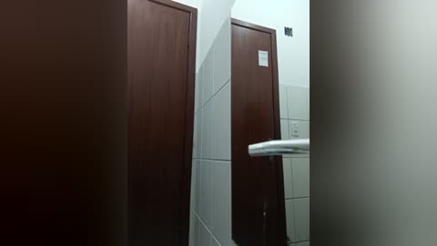 Media: Video of a narrow, dimly lit public restroom with brown wooden doors and white tiled walls, showing a partially open stall and a silver toilet paper dispenser.