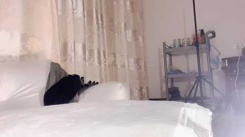 Media: Video of a black cat lying on a white bed with a white pillow, next to sheer curtains in a softly lit bedroom. A metal cart with toiletries stands nearby.