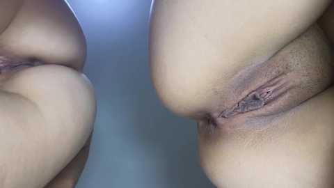 Media: Video of a close-up view of two female butts and vaginas, showing light brown skin tones and detailed textures, taken in a bright, indoor setting.