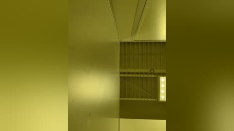 Media: Video of a dimly lit, narrow hallway with yellowish-green walls, featuring a vertical, rectangular window with horizontal blinds partially open. The lighting is soft, casting subtle shadows and creating a moody, serene atmosphere.