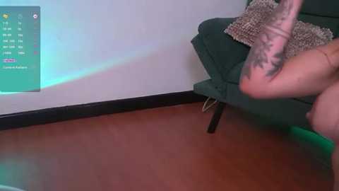 Media: Video of a tattooed arm on a green couch with a textured cushion, a TV displaying a menu screen on a white wall, and wooden floor.