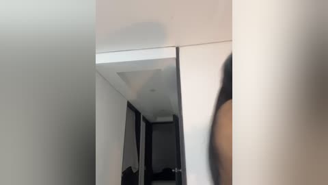 Media: Video of a modern, minimalist hallway with white walls and a rectangular mirror mounted on the wall. The mirror reflects a portion of a dark corridor and a shadowy figure, possibly a person, standing in the background.