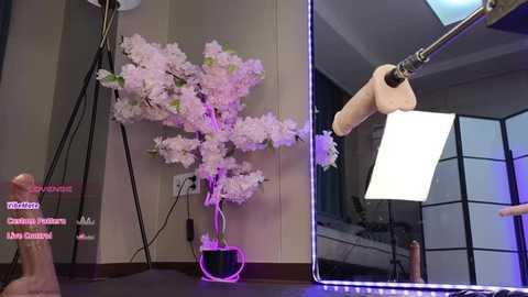 Media: Video of a studio setup with a hand holding a white card, a pink cherry blossom tree, a sex doll, and a black screen backdrop.