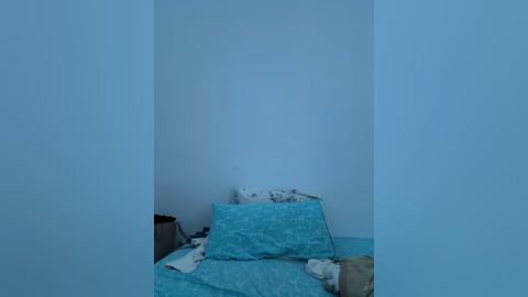 Media: A video of a dimly lit room with a small, unmade bed against a plain, light blue wall. The bed has a blue patterned comforter, pillows, and scattered clothing, giving an impression of neglect and minimalism.