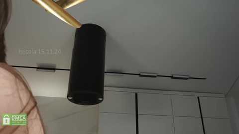 Media: Video of a modern room with a black cylindrical lamp hanging from a gold ceiling fixture. The background features white cabinets and a minimalist design.