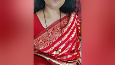 Media: Video of a woman wearing a vibrant red silk sari with intricate gold embroidery, draped elegantly over her shoulder. She has long black hair and a traditional necklace. The background is blurred, emphasizing the sari's rich textures and patterns.