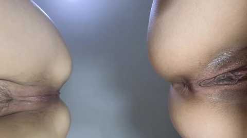 Media: Video of two close-up, mirrored buttocks with light skin tones, hair follicles visible, and smooth texture, set against a blurry, neutral background.