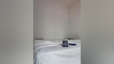 Media: A video of a bare, white-walled bedroom with a single bed covered in white sheets. On the bed, a blue container, a small green object, and a pink item are visible. The room is sparsely furnished and lacks personal items.