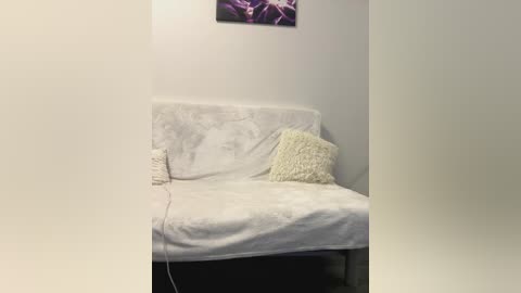 Media: A video of a cozy, white, fuzzy sofa with a textured, cream-colored throw pillow, situated against a light gray wall with a purple flower painting above.