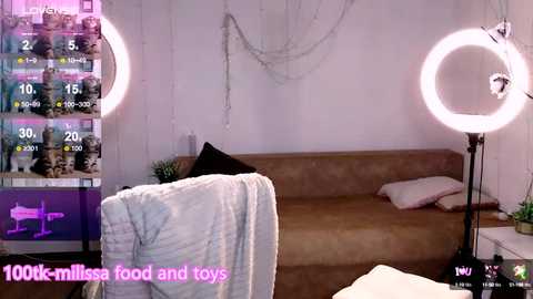 Media: Video of a cozy, minimalist living room with a beige couch, white walls, fairy lights, and two large, round, bright light rings. Text overlay reads \"1000+ millissa food and toys.\