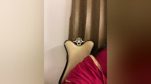 Media: Video of a beige upholstered chair with black trim and a decorative crown headrest, covered with a bright pink shawl, set against taupe and brown patterned curtains in a dimly lit room.