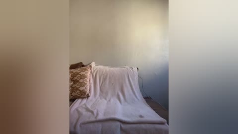 Media: Video of a simple, dimly lit room with a single bed covered in white sheets, a beige pillow with a floral pattern, and a bare wall. The image has a soft, muted color palette and a minimalist aesthetic.