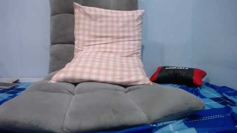 Media: Video of a cozy room with a plush, gray, tufted chair and a plaid pillow on a blue and white checkered blanket. A black and red pillow rests beside the chair against a light blue wall.